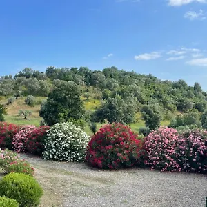Tenuta Podere Montauzzo Alloggio per agriturismo